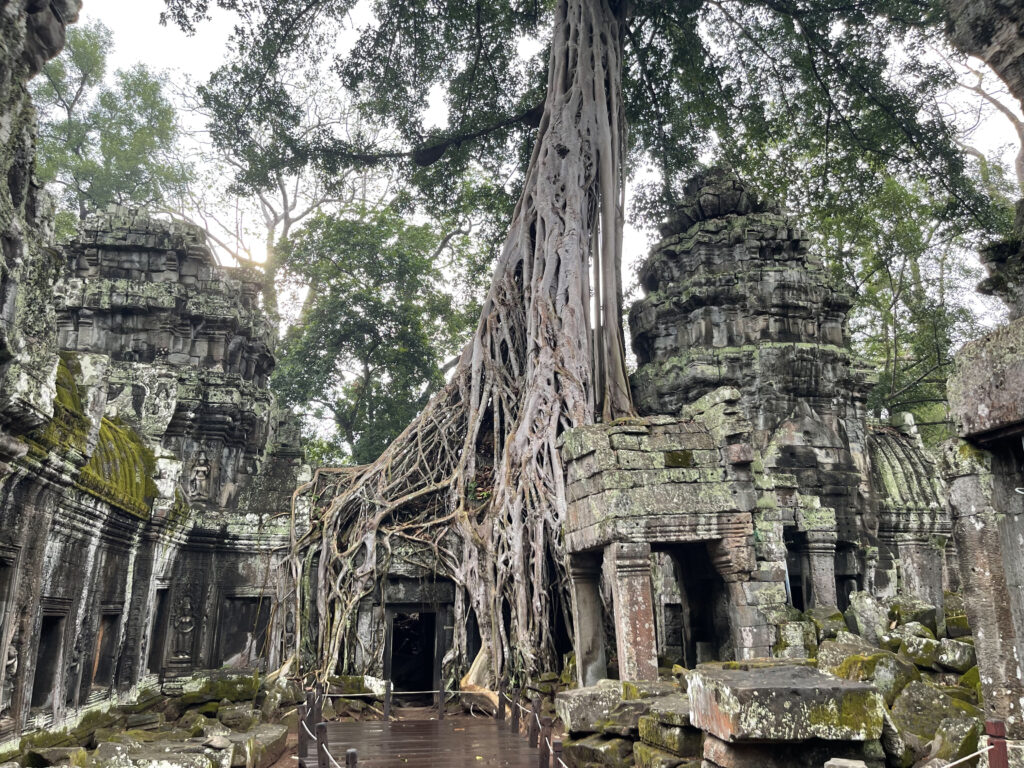Taprohm-2